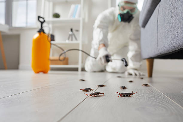 Commercial Kitchen Cockroach Control in Grayville