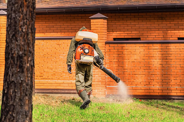 Cockroach Follow-Up and Monitoring in Grayville